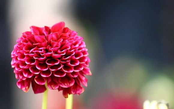 梦幻西游怎么查询角色