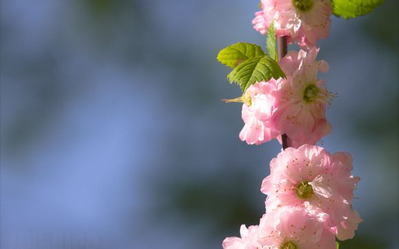 到平潭岛要坐船吗