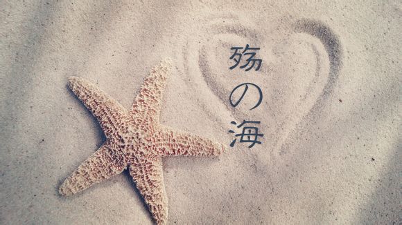 大连白天去哪里好玩儿